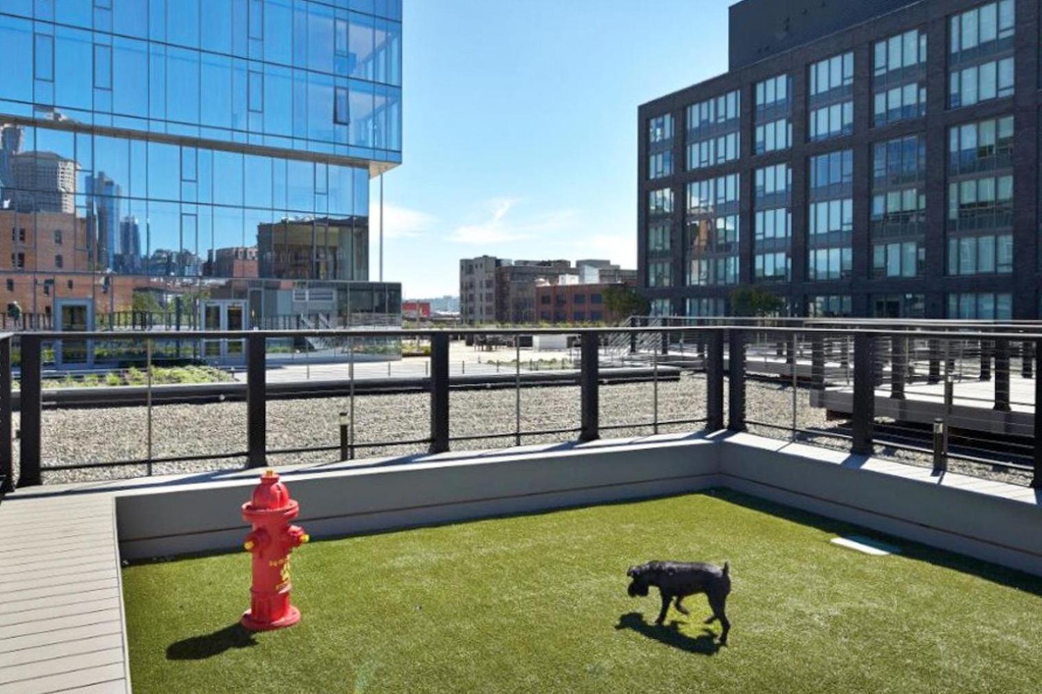 Pioneer Square W Gym Bbq Nr Stadium Sea-586 *